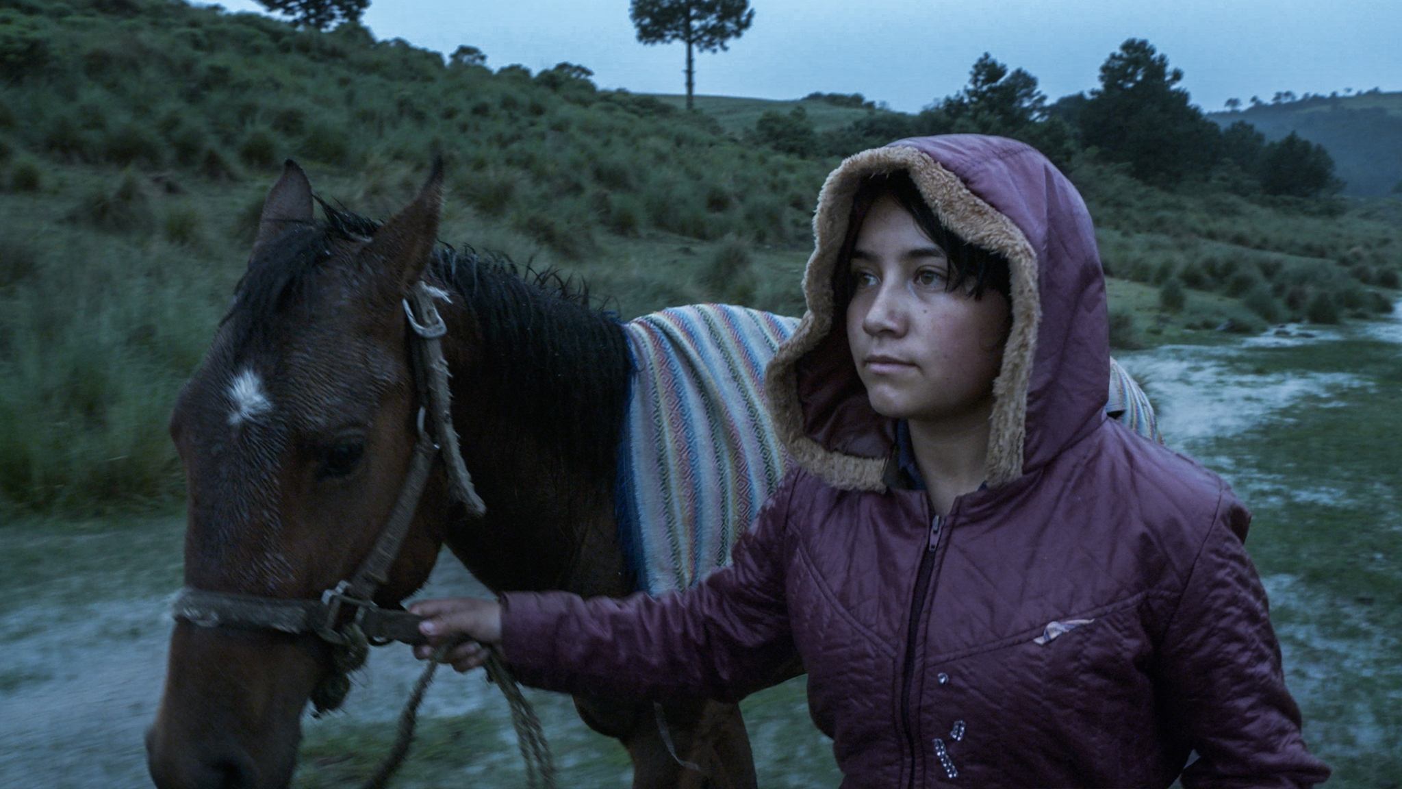 Backdrop for The Echo