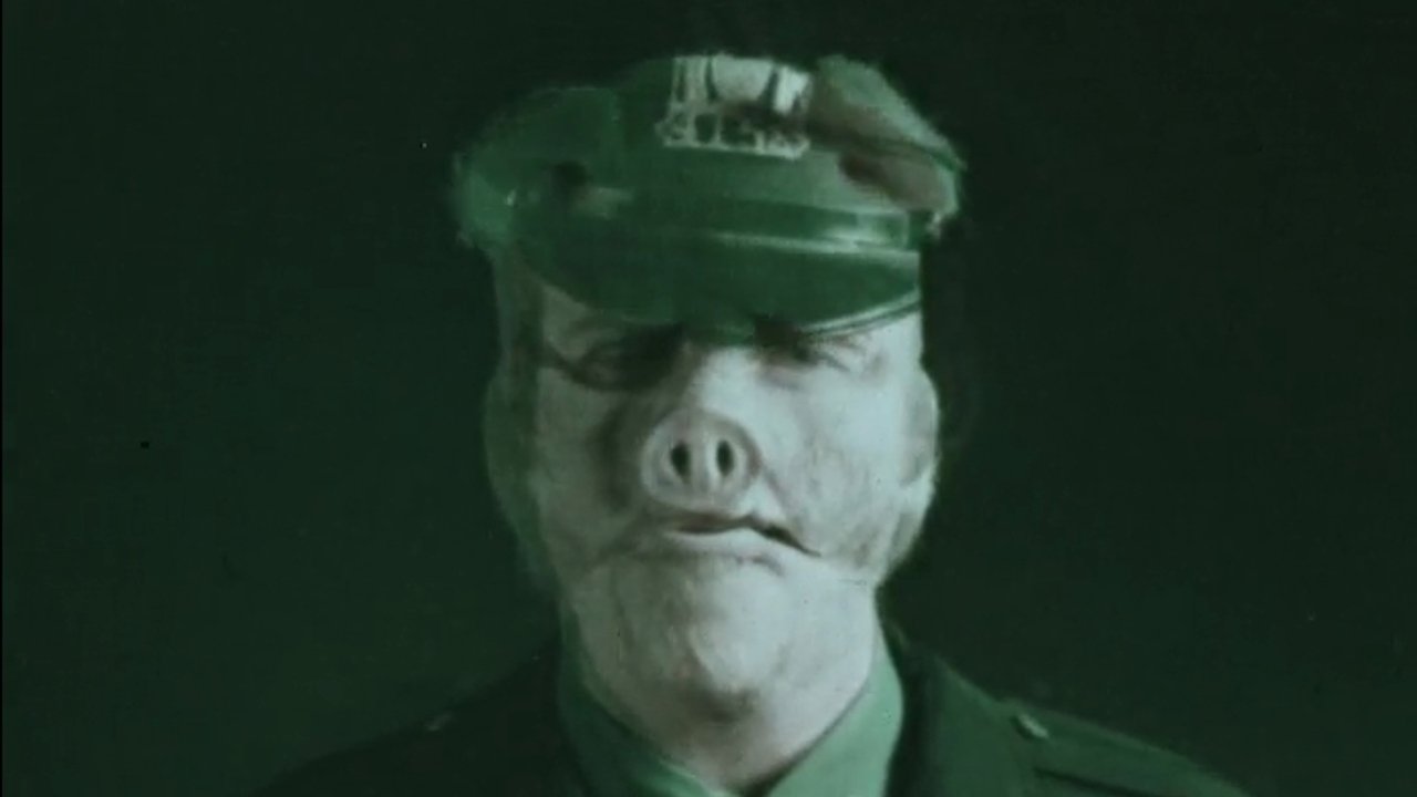 Backdrop for Stoner's Night Out