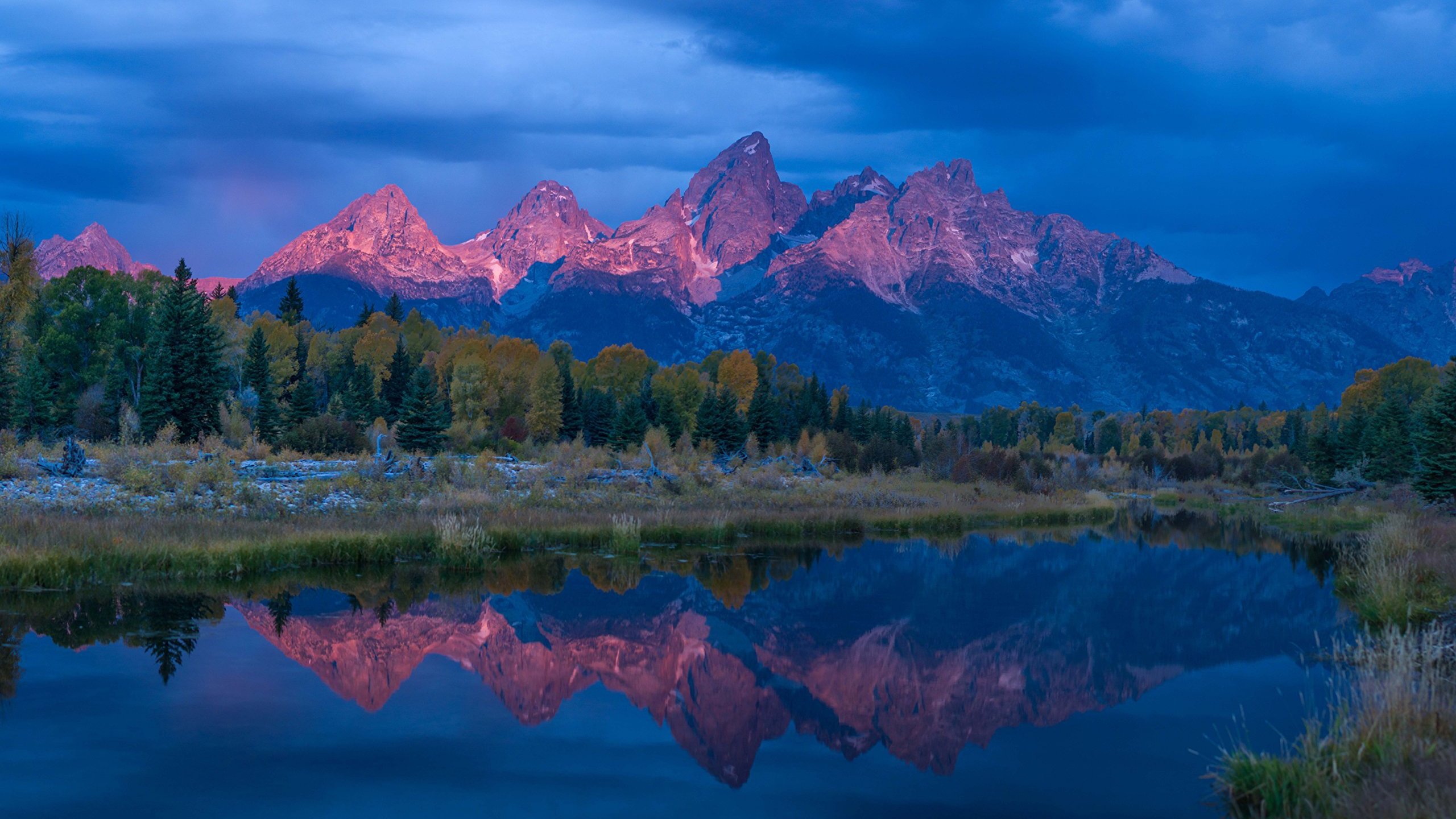 Backdrop for Wild Yellowstone