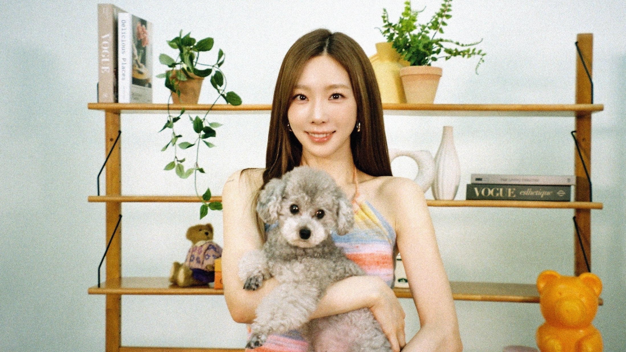 Backdrop for Taeng Forest