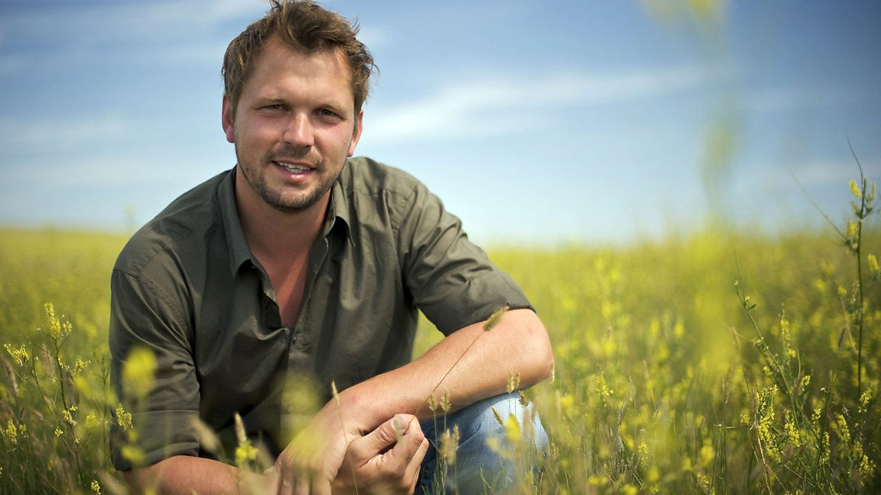 Backdrop for Jimmy's Global Harvest