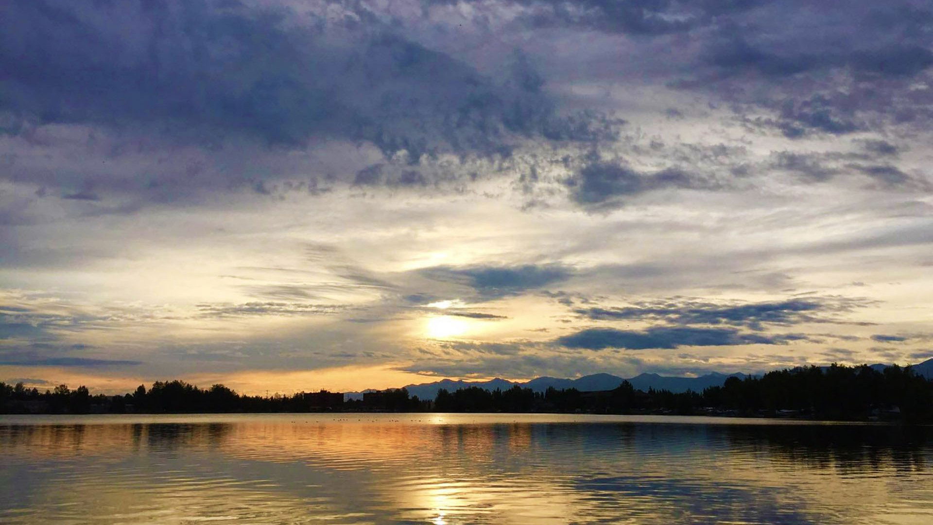 Backdrop for Wild Alaska Live