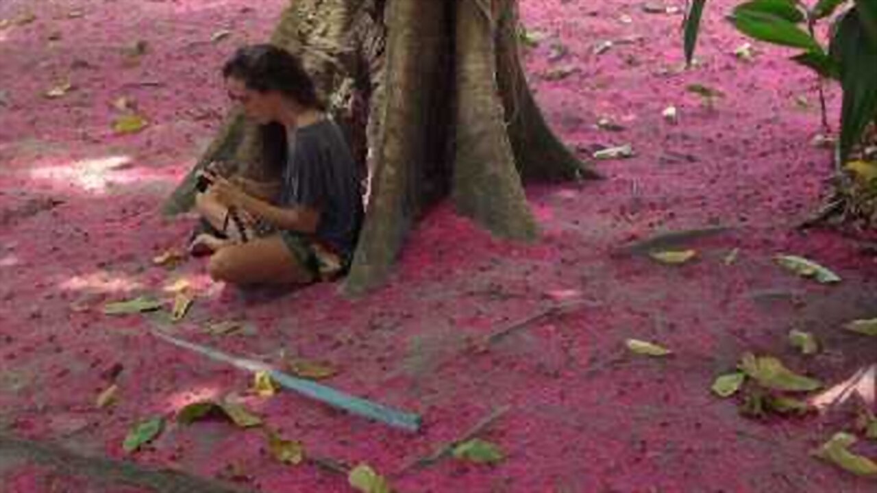 Backdrop for You Tubers