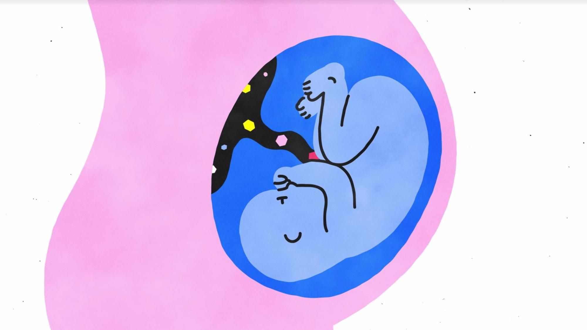 Backdrop for Sex, Explained