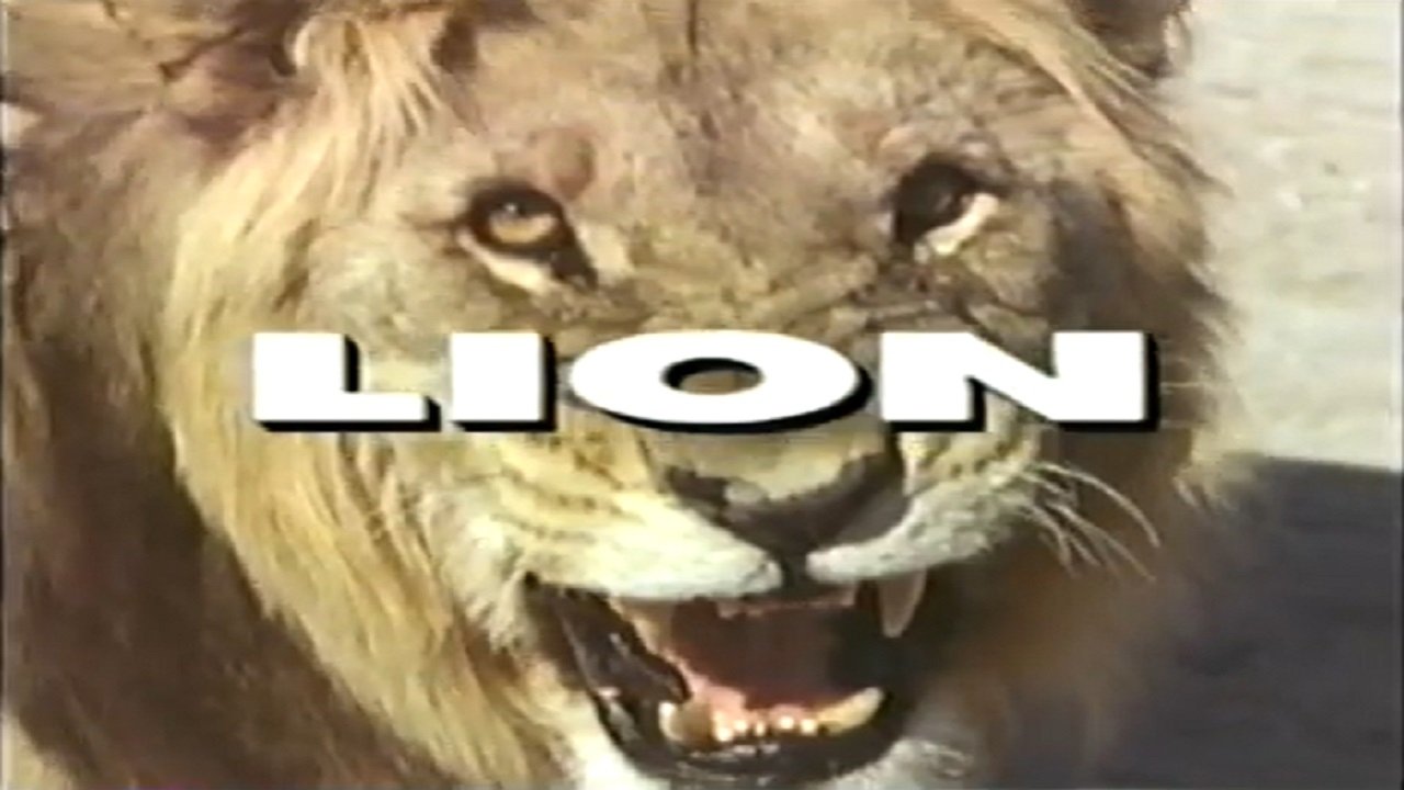 Backdrop for Predators of the Wild: Lion