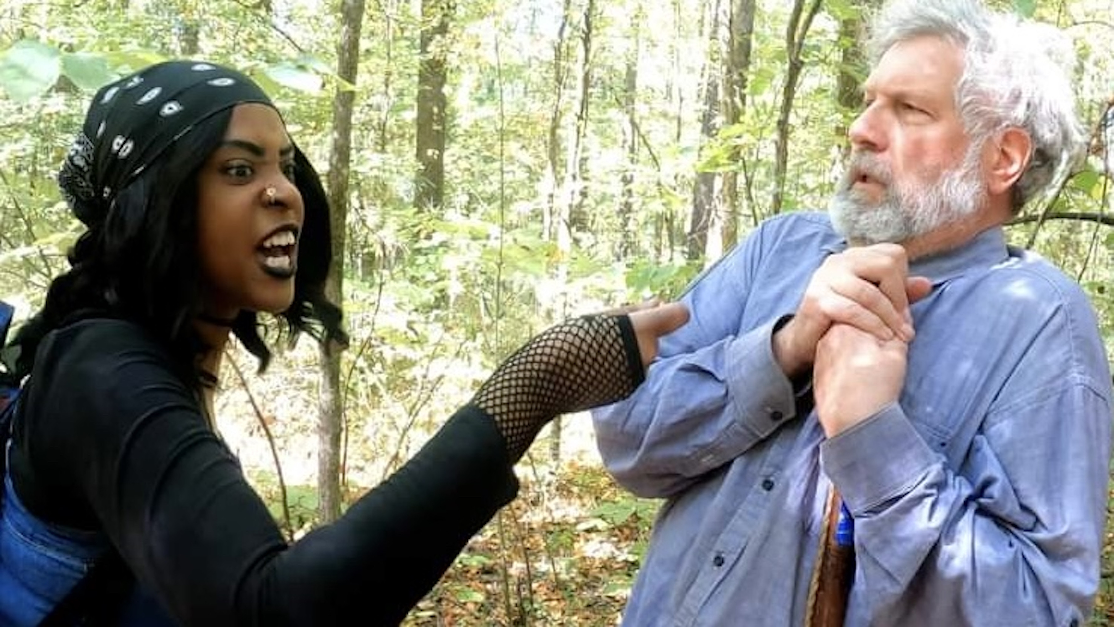 Backdrop for The Woods