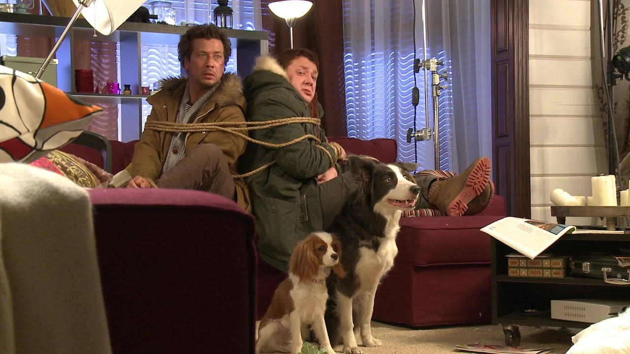 Backdrop for Paws, Bones & Rock'n'roll