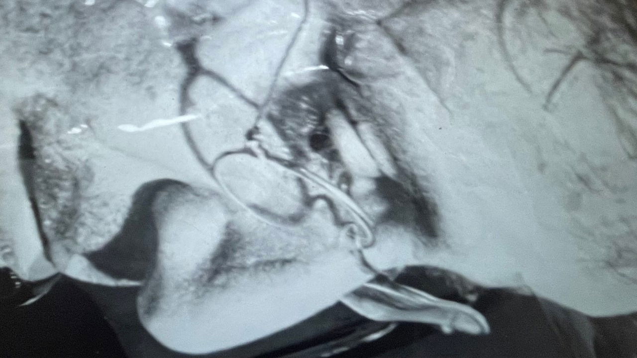 Backdrop for Fahrenheim