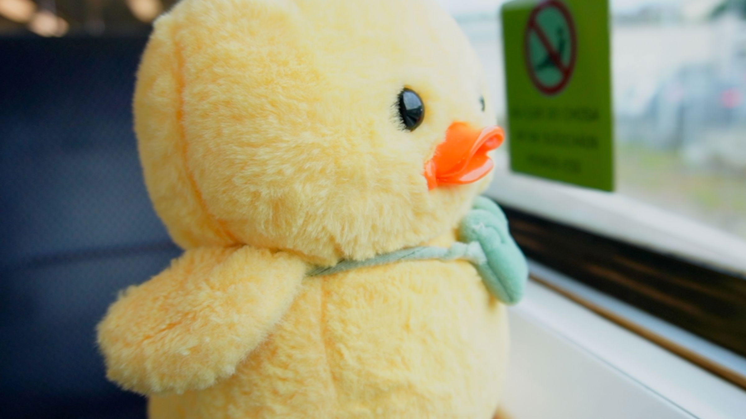 Backdrop for A Duckumentary