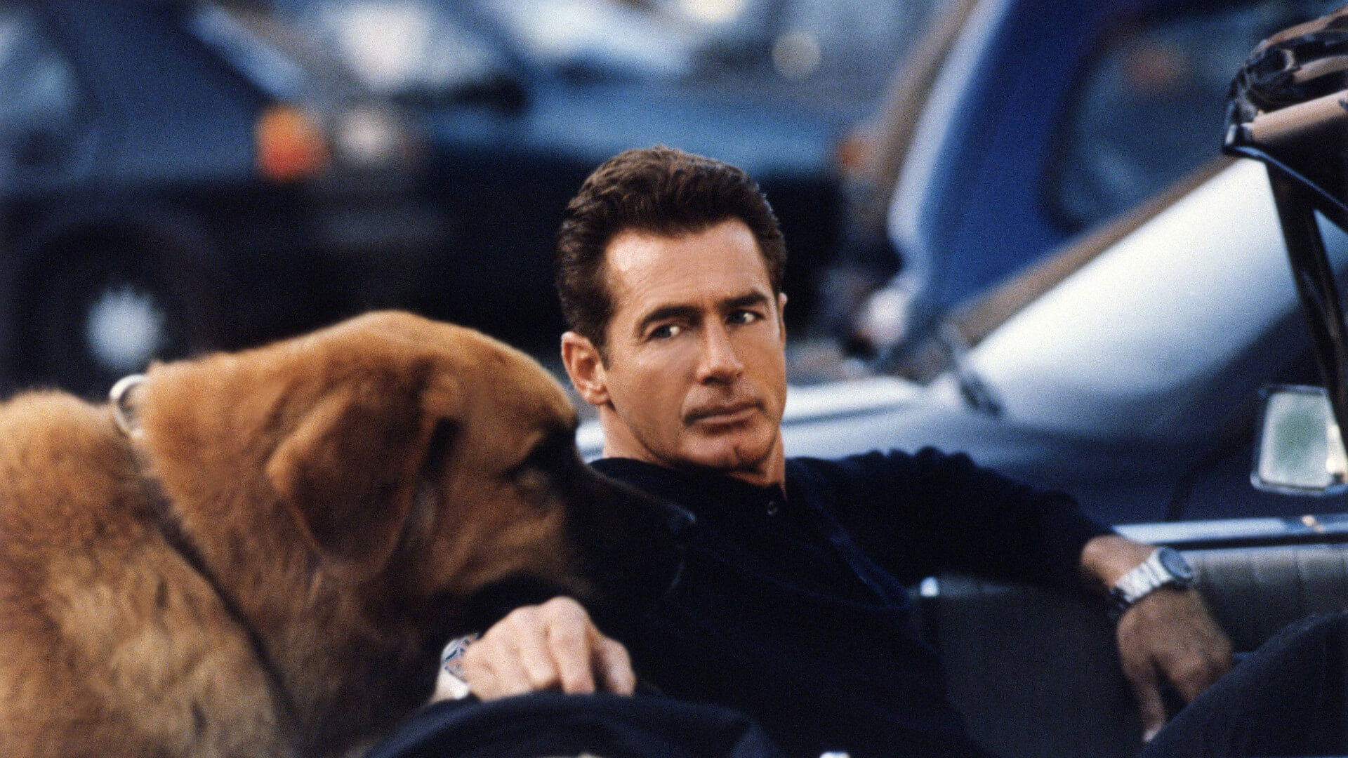 Backdrop for The New Adventures of Tequila & Bonetti