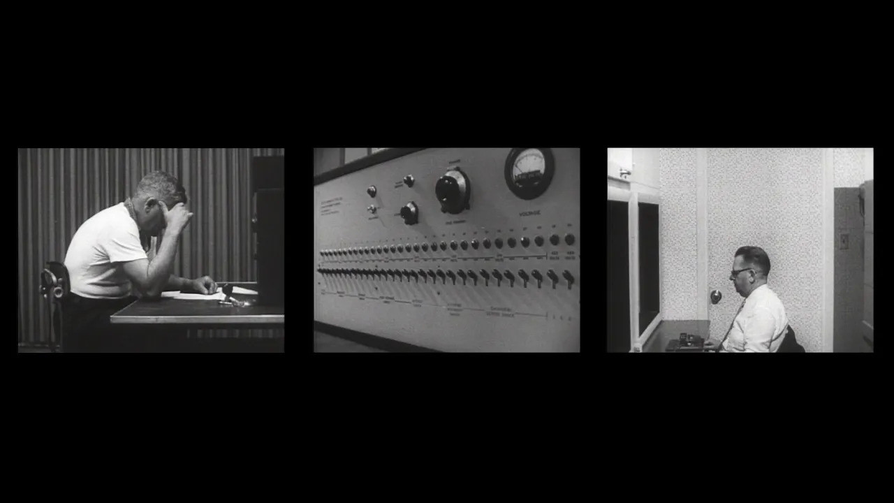 Backdrop for Obedience