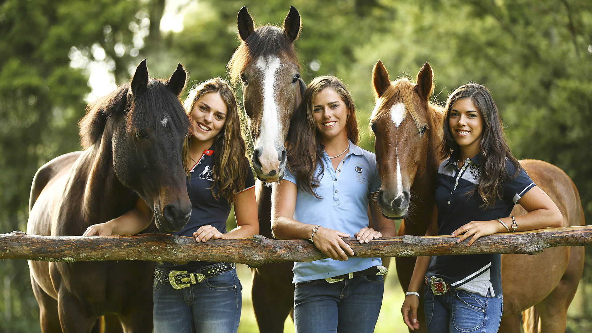 Backdrop for Keeping Up With The Kaimanawas