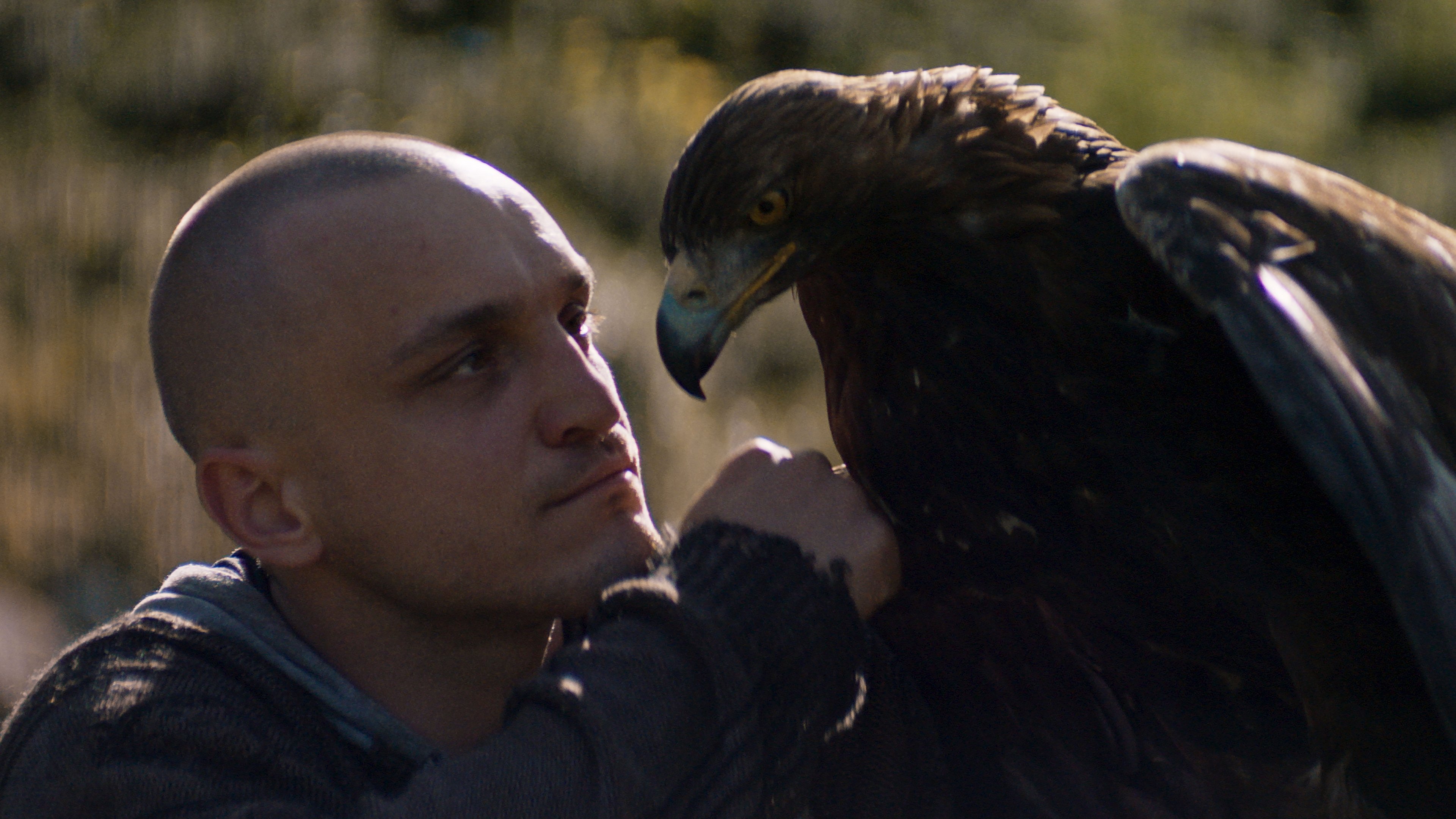 Backdrop for Luzifer