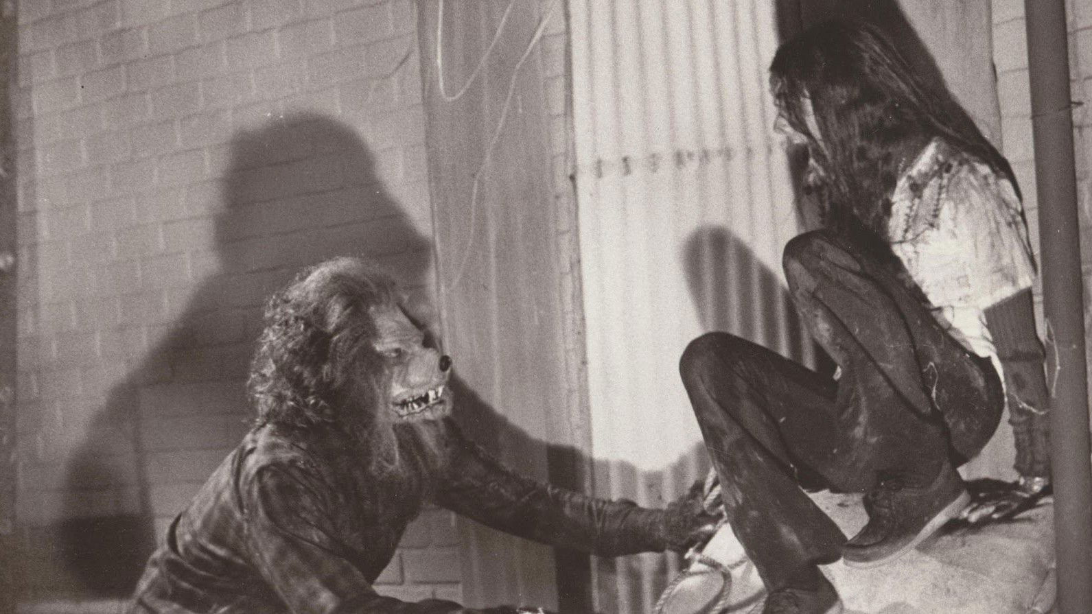 Backdrop for The Werewolf of Woodstock