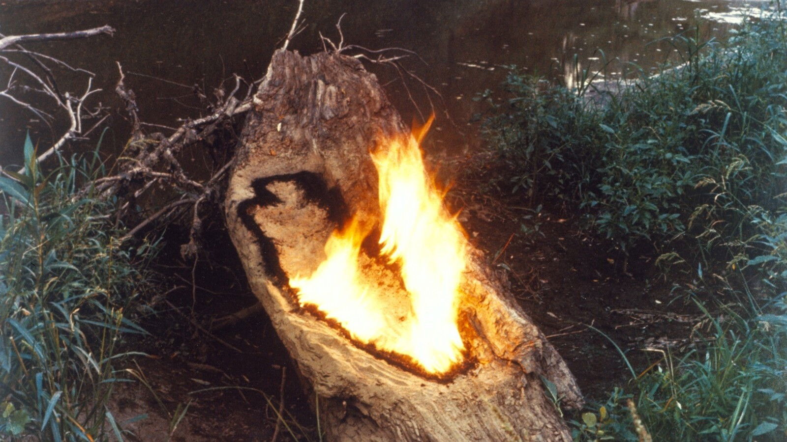 Backdrop for Ana Mendieta: Fuego de Tierra
