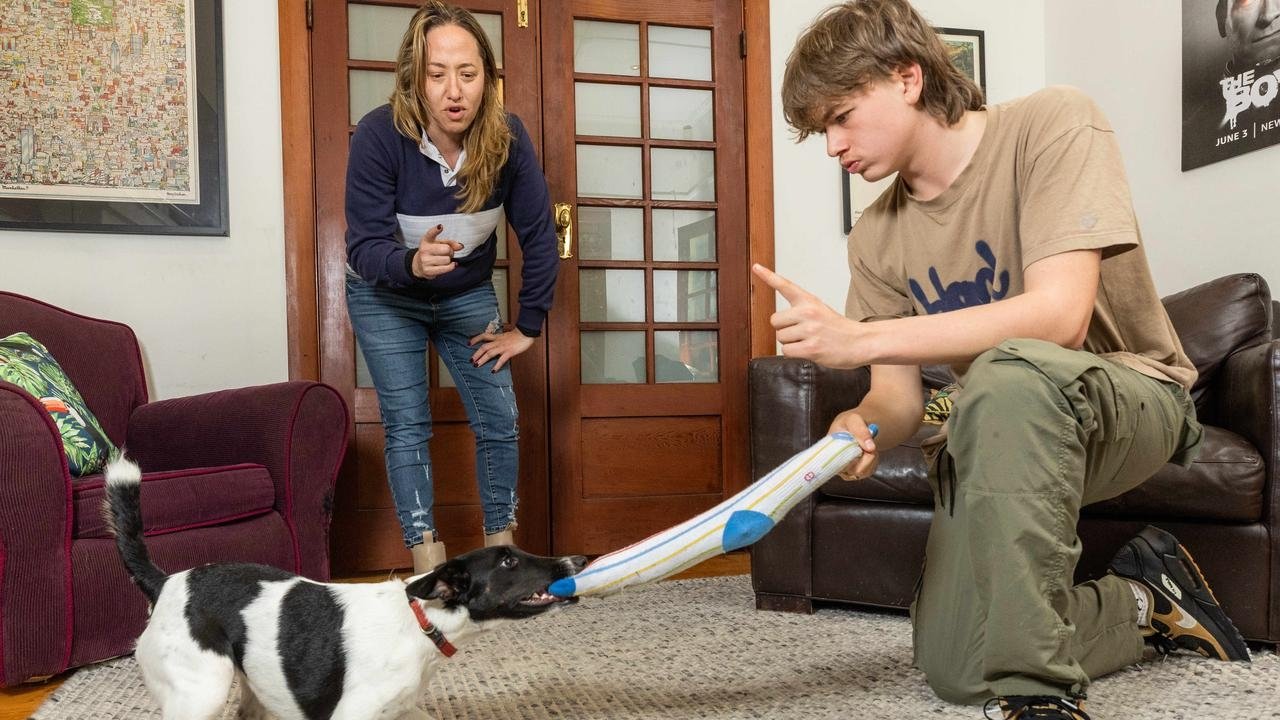 Backdrop for Dogs Behaving (Very) Badly Australia