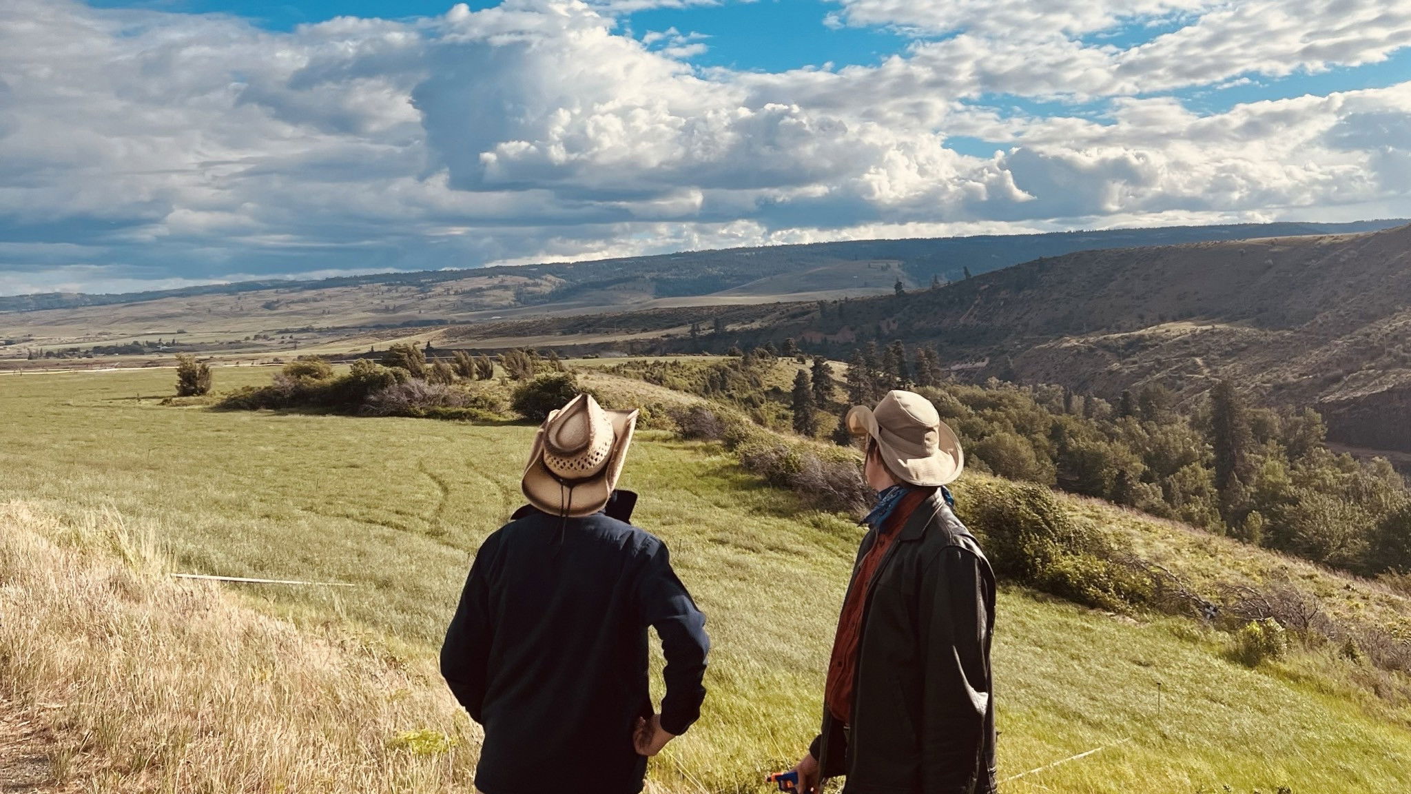 Backdrop for Spirit of the West