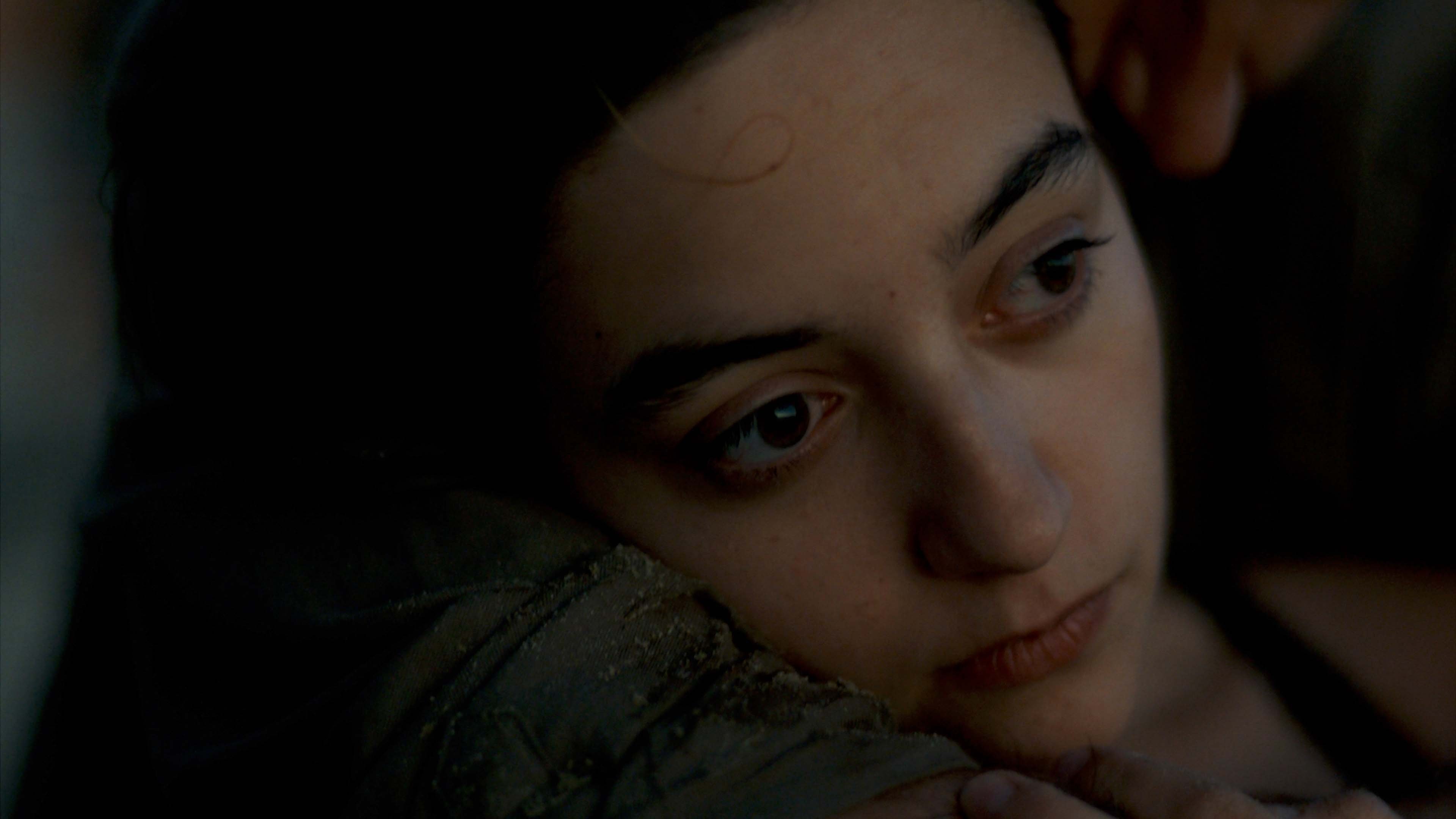 Backdrop for A Short Trip