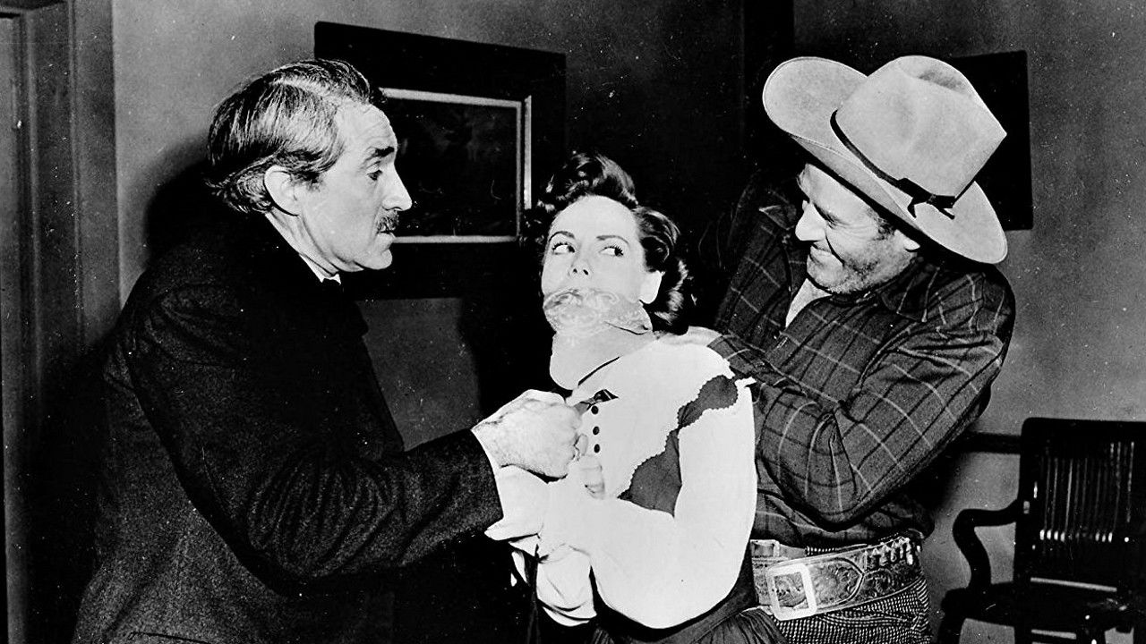 Backdrop for Fort Dodge Stampede