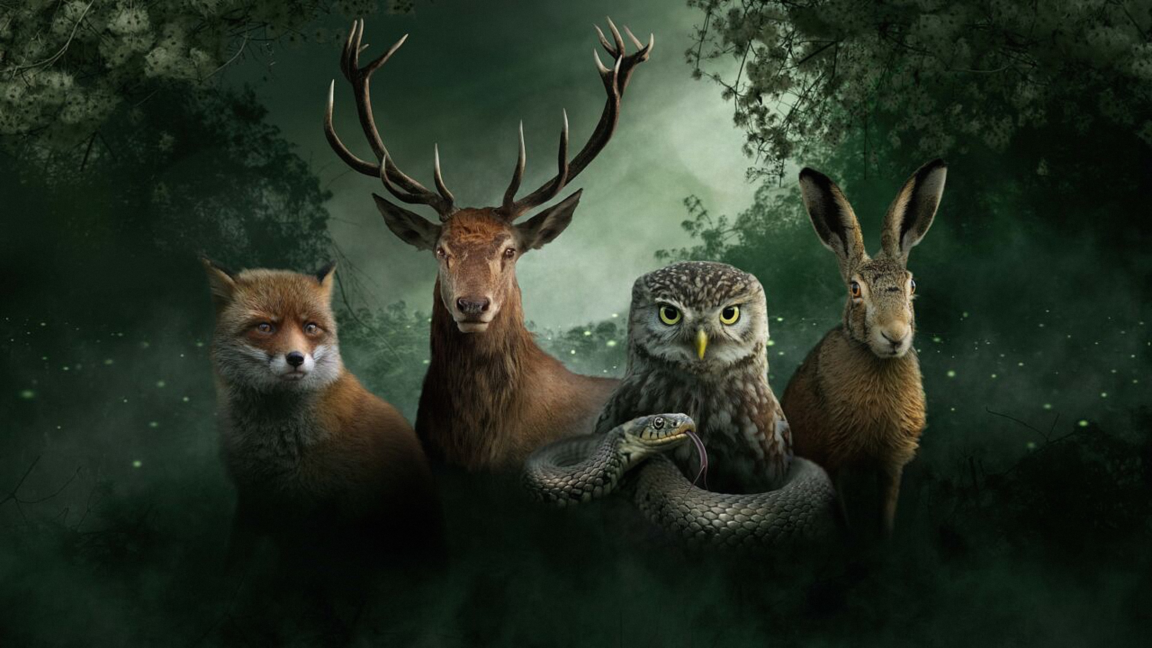 Backdrop for Our Nature, The Movie