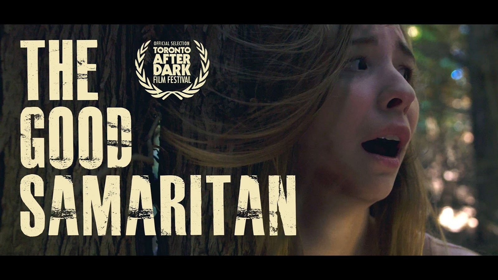 Backdrop for The Good Samaritan