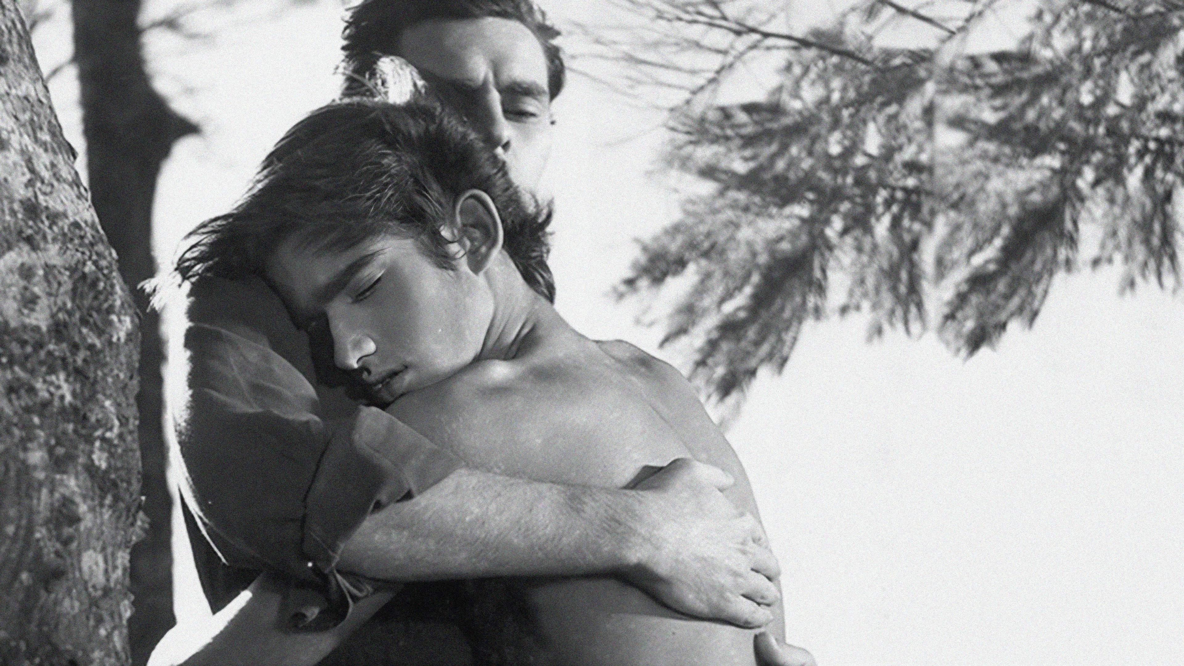 Backdrop for The Boy and the Wind