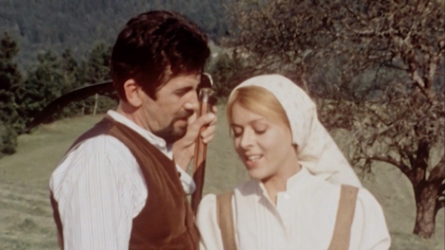 Backdrop for Blossoms in Autumn