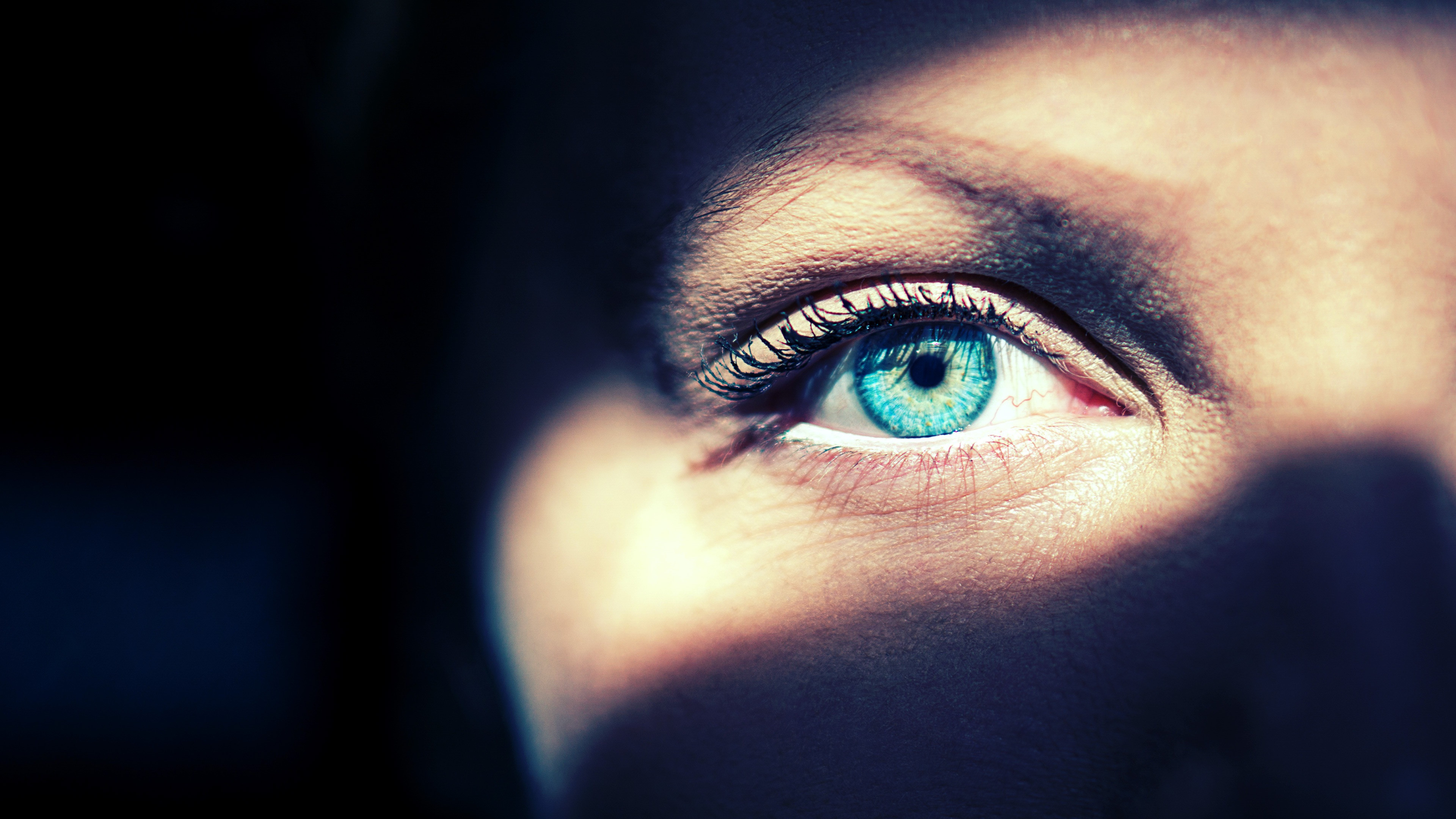 Backdrop for Diabolical