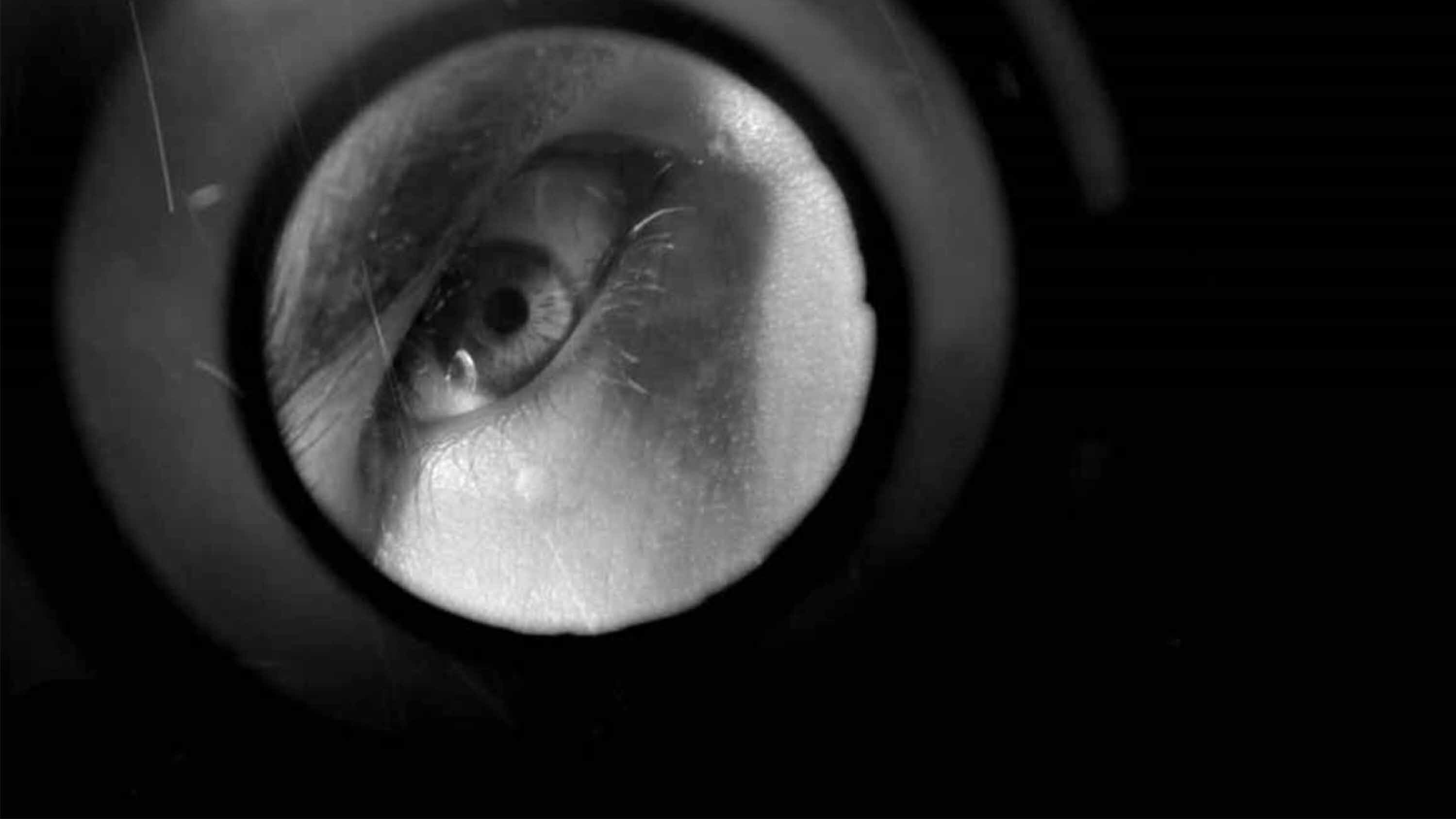 Backdrop for Phantom Hand