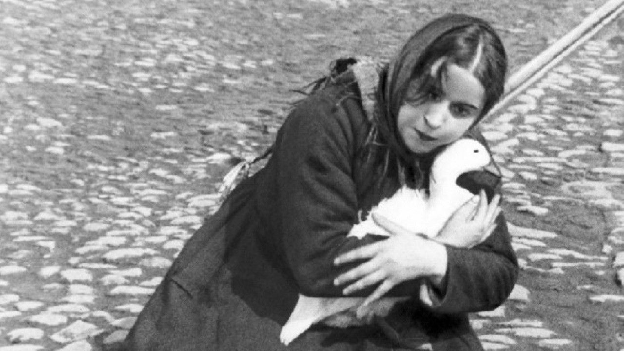 Backdrop for The House on Trubnaya