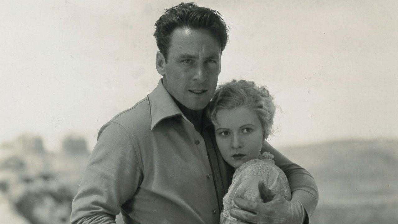 Backdrop for Timber Stampede