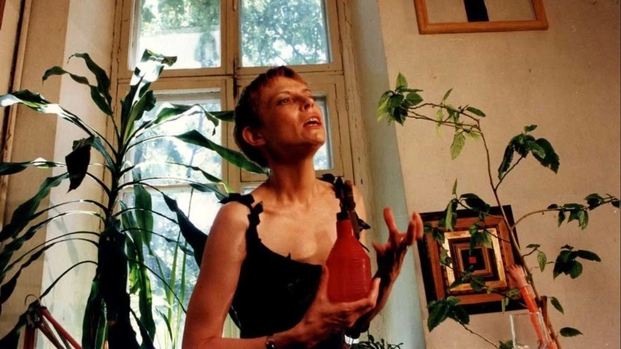 Backdrop for Letter to America