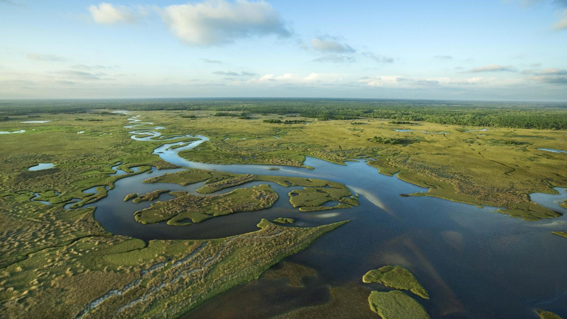 Backdrop for National Parks Exploration Series: The Everglades