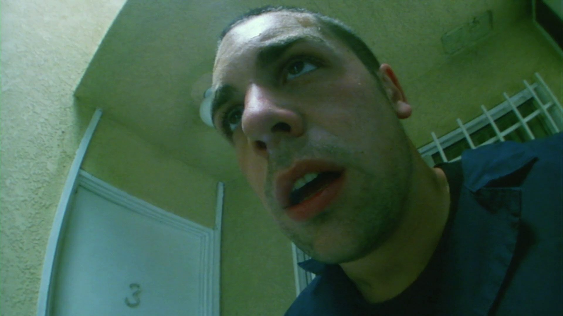 Backdrop for King of the Ants