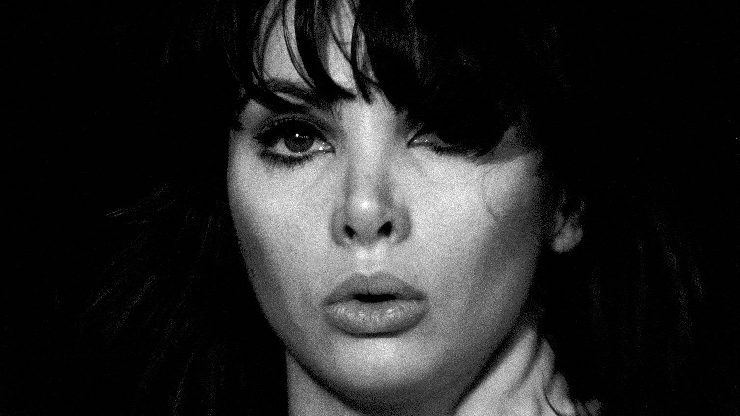 Backdrop for Breakaway