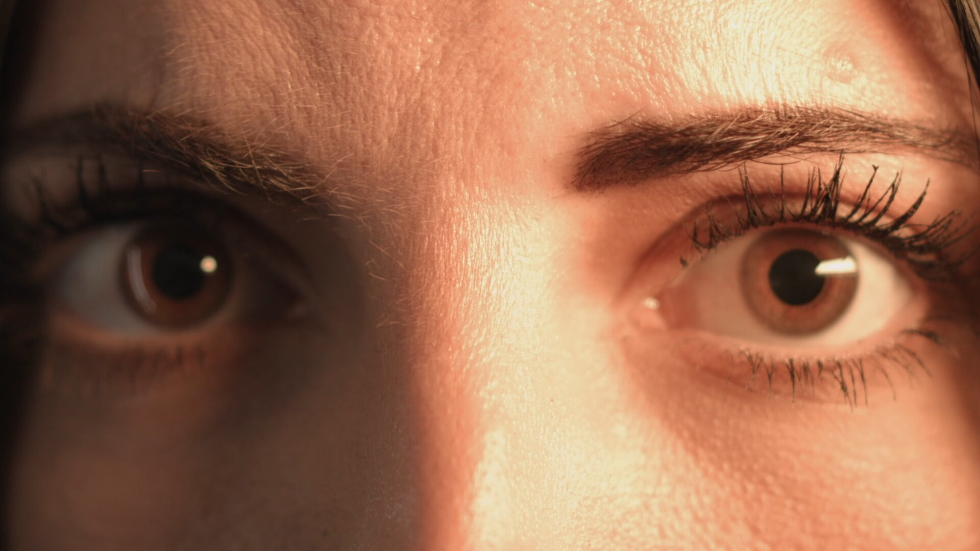 Backdrop for The Gift