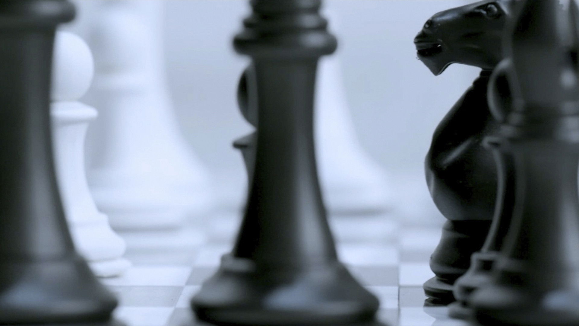 Backdrop for Blacks or Whites