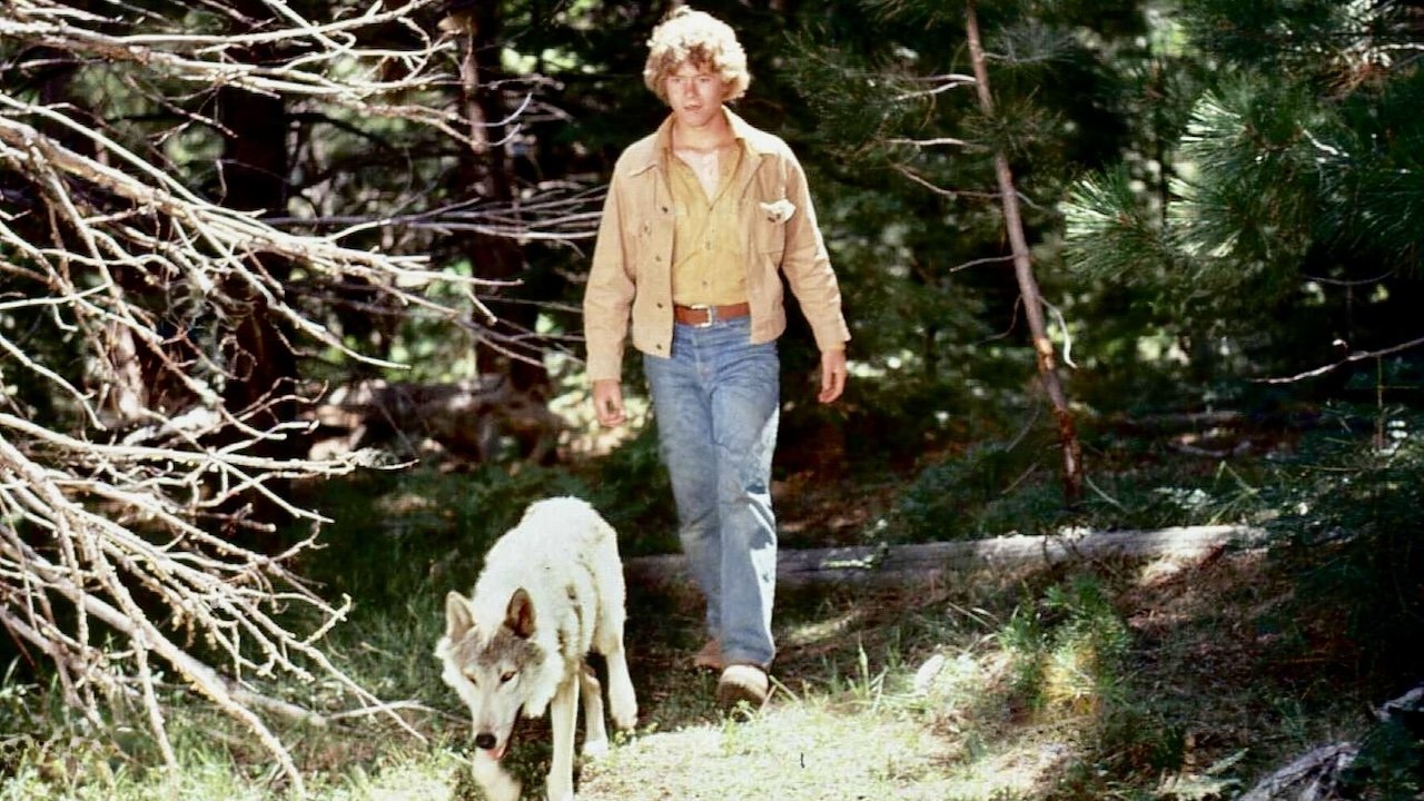 Backdrop for The Flight of the Grey Wolf