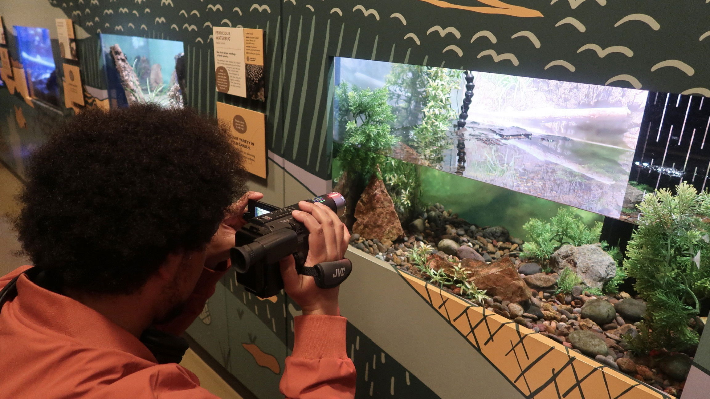 Backdrop for human care