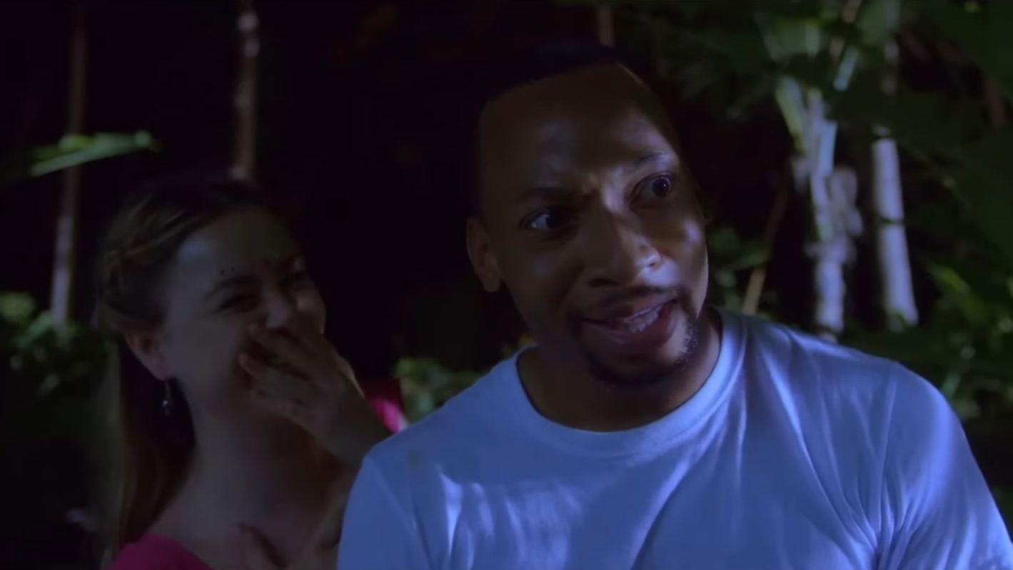 Backdrop for A Caribbean Dream