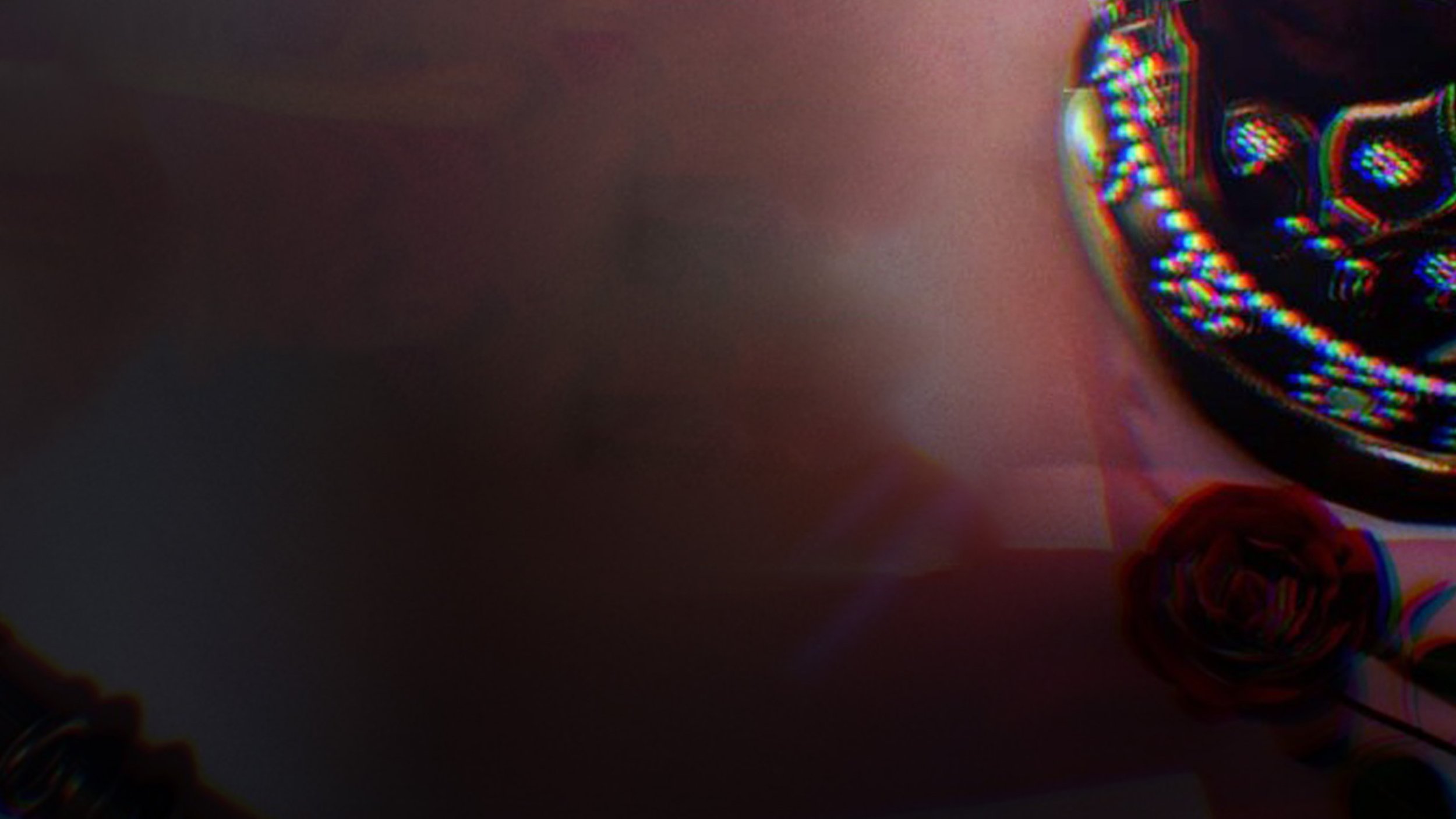 Backdrop for The saga of princely marriages