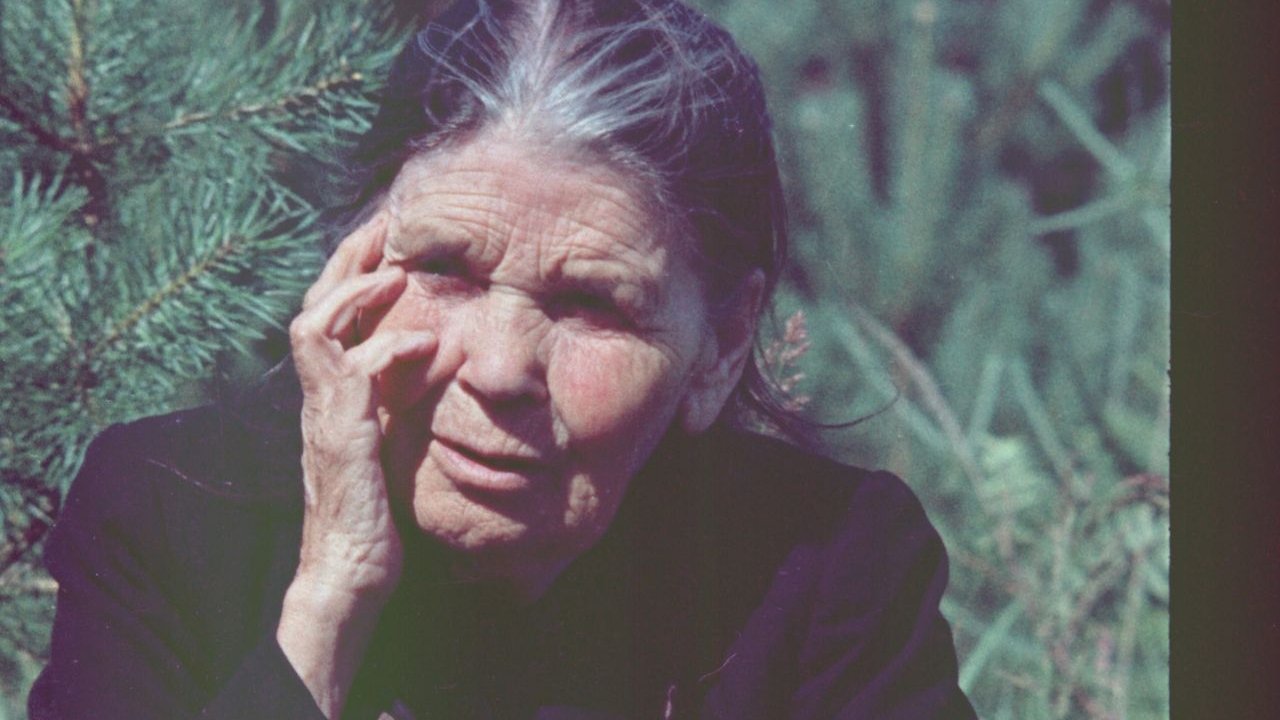 Backdrop for The Waterfowl People