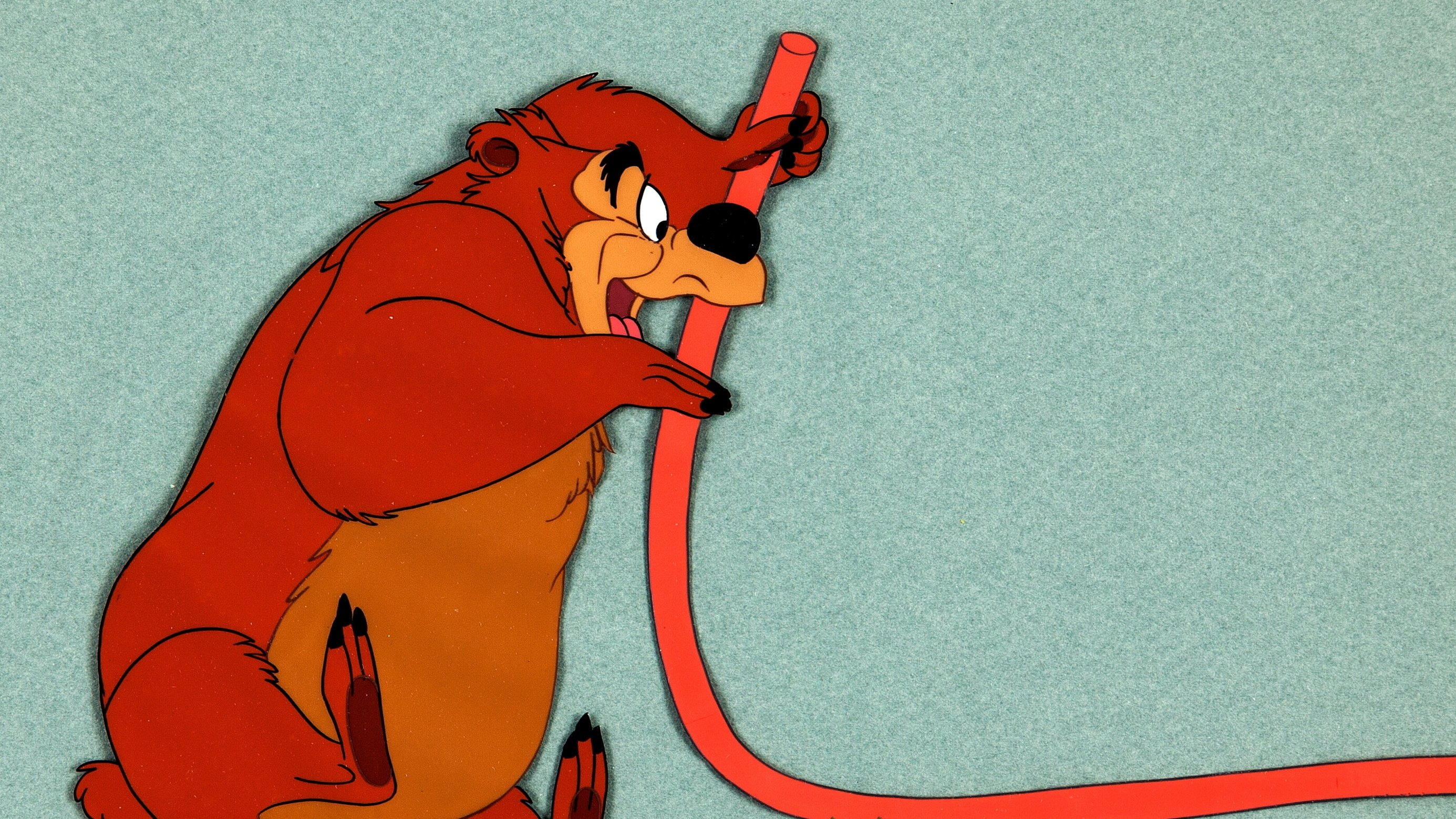 Backdrop for Hooked Bear