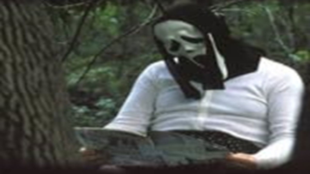 Backdrop for The Bogus Witch Project