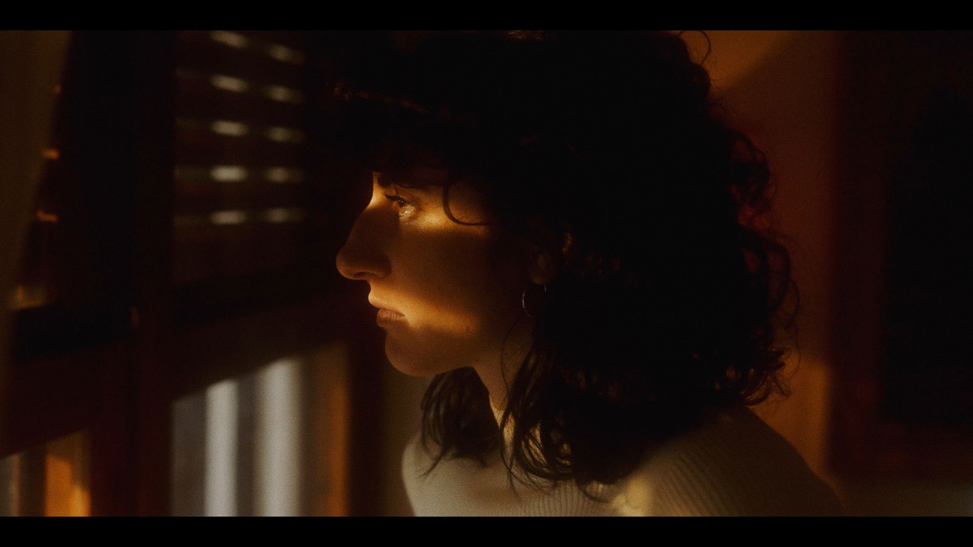 Backdrop for Un pinar salvaje