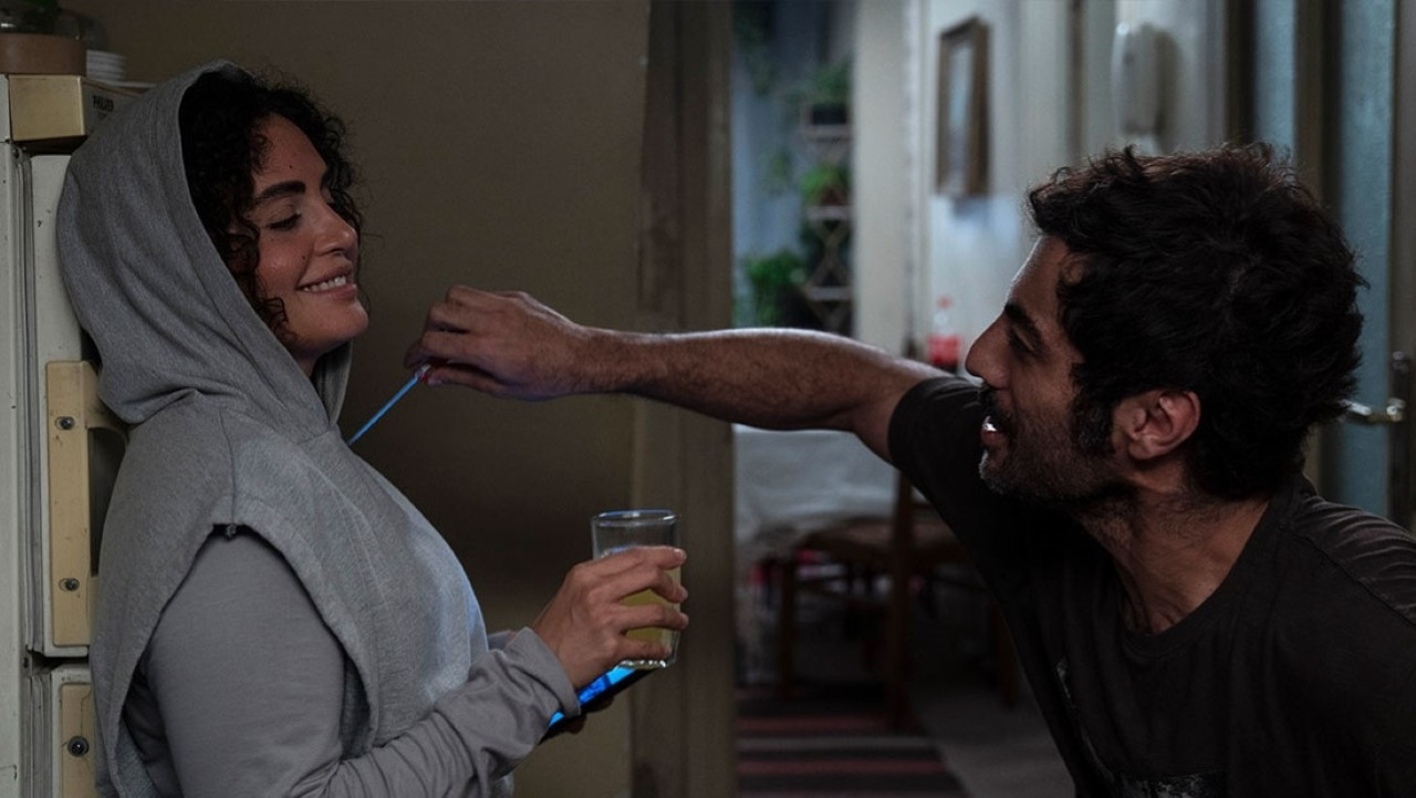 Backdrop for Highway Deer