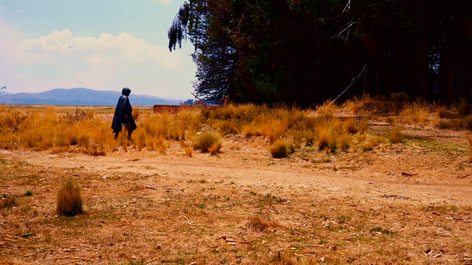 Backdrop for Ante Meridiem (a.m.)