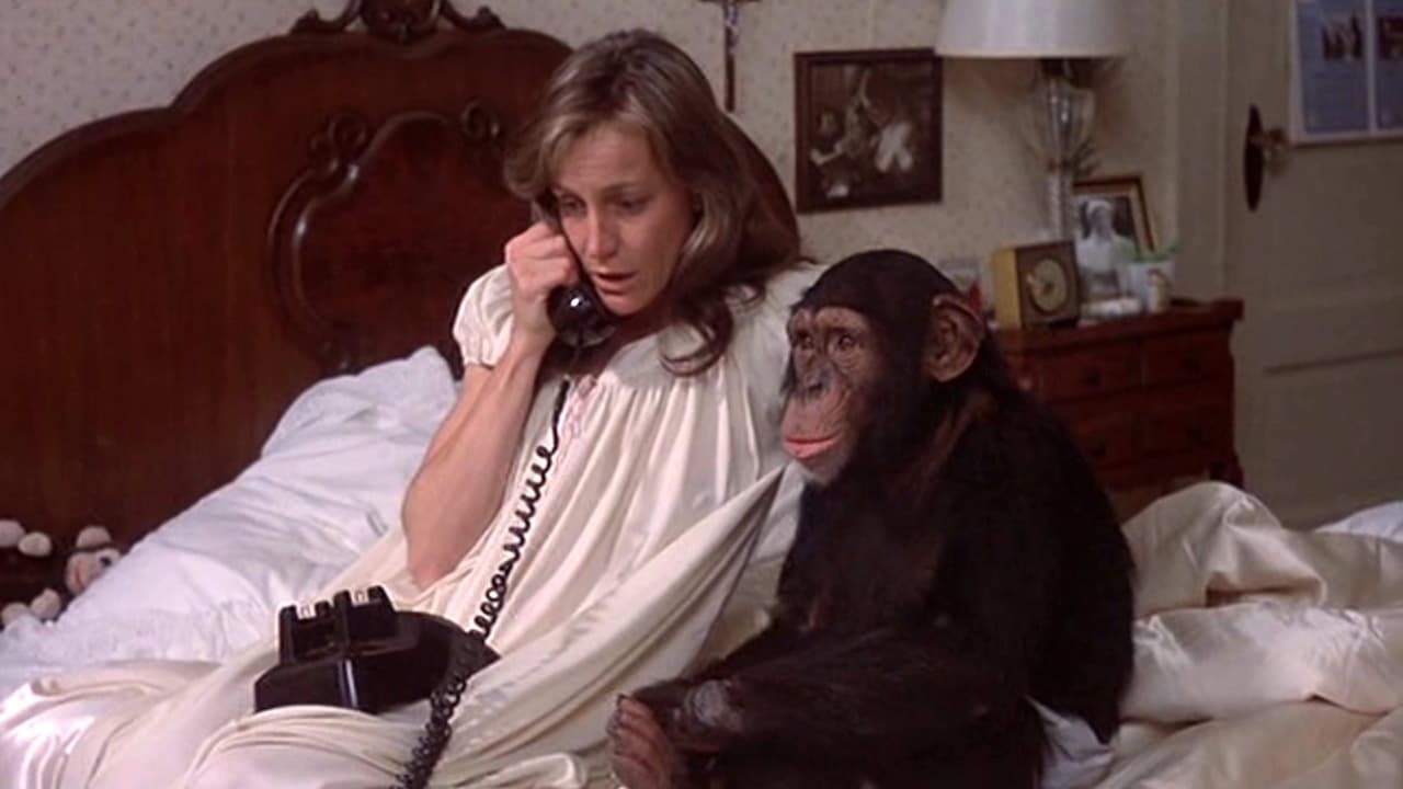 Backdrop for The Attic