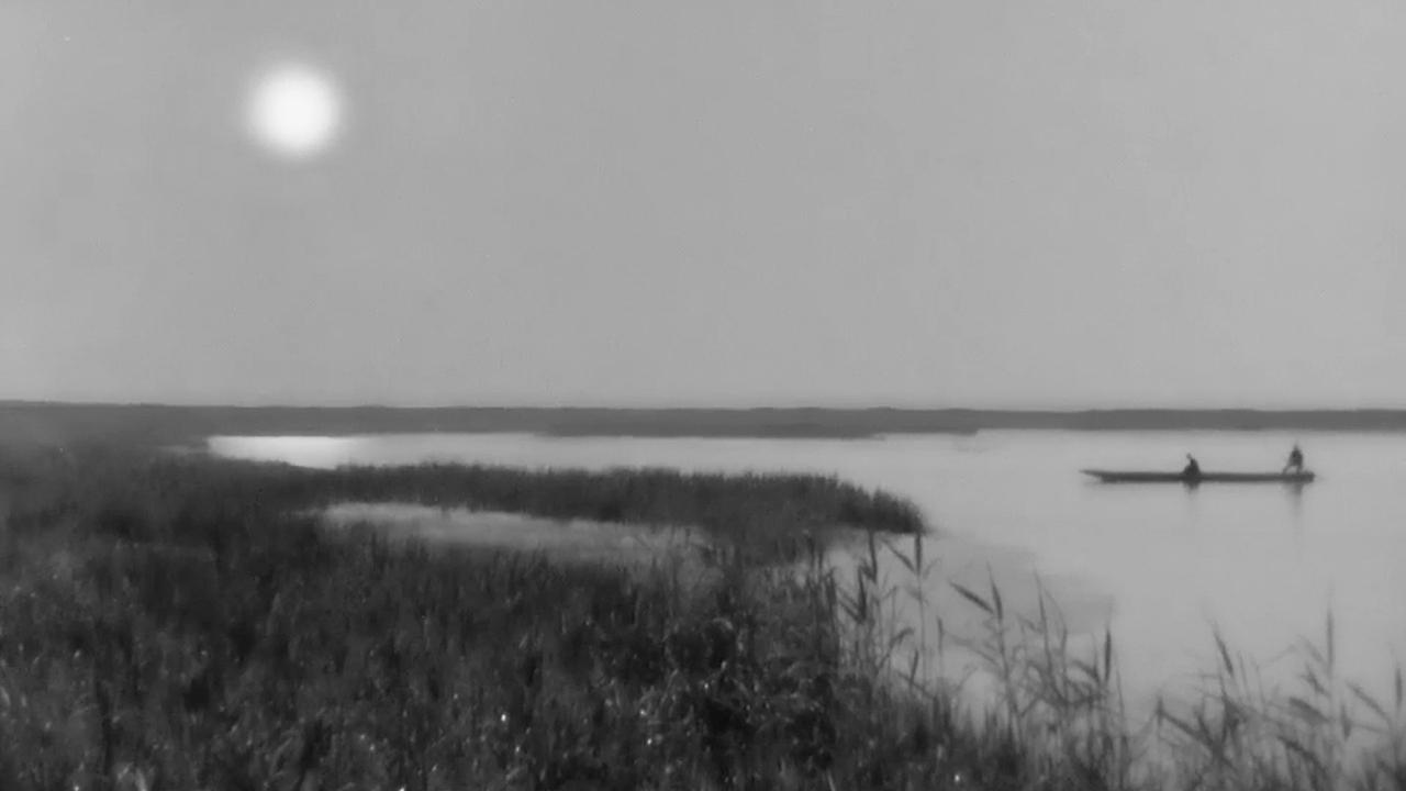 Backdrop for Miss Oyu