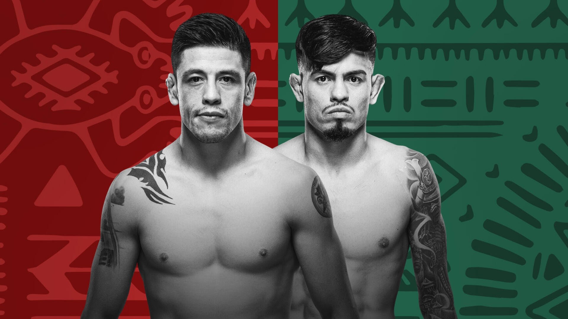 Backdrop for UFC Fight Night 237: Moreno vs. Royval 2